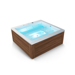 Гидромассажный спа бассейн WS-S027